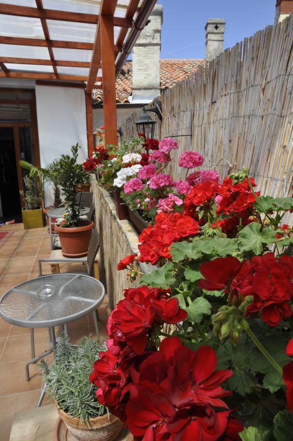 Hostel Riva Pula