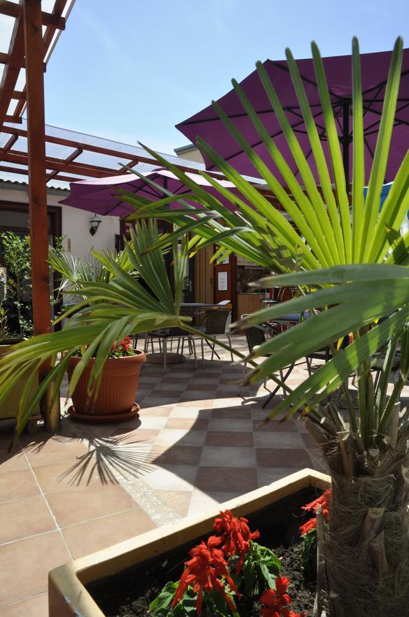 Riva Hostel