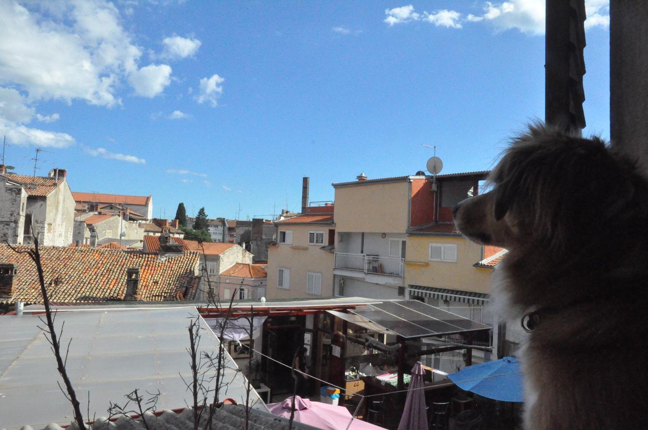 Hostel Riva